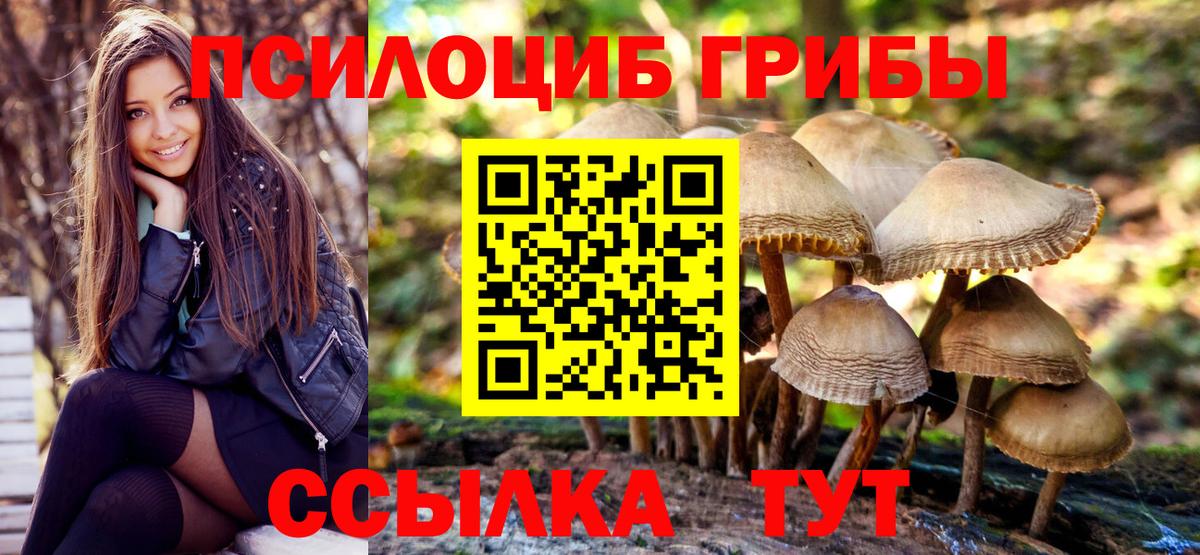 Коряжма  Галлюциногенные грибы GOLDEN TEACHER  Псилоцибиновые грибы мицелий  Вход с VPN 